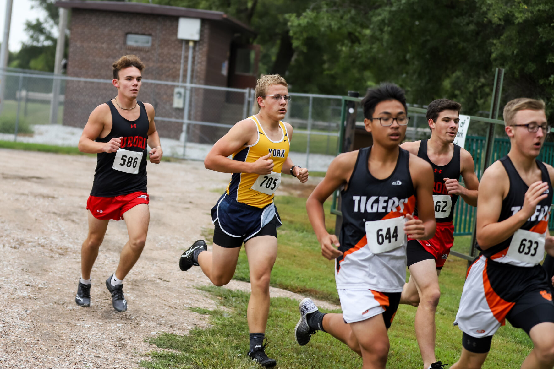 YHS XC at Aurora (39).jpg